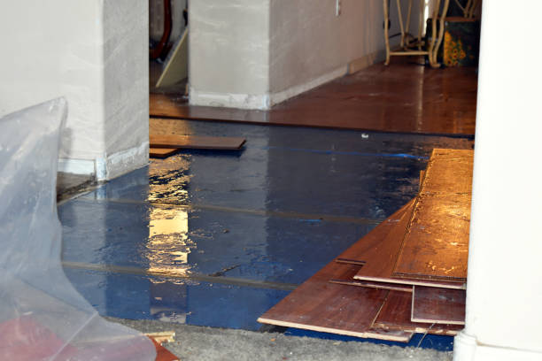 Professional Emergency Water Damage Restoration technician working in Crete, IL